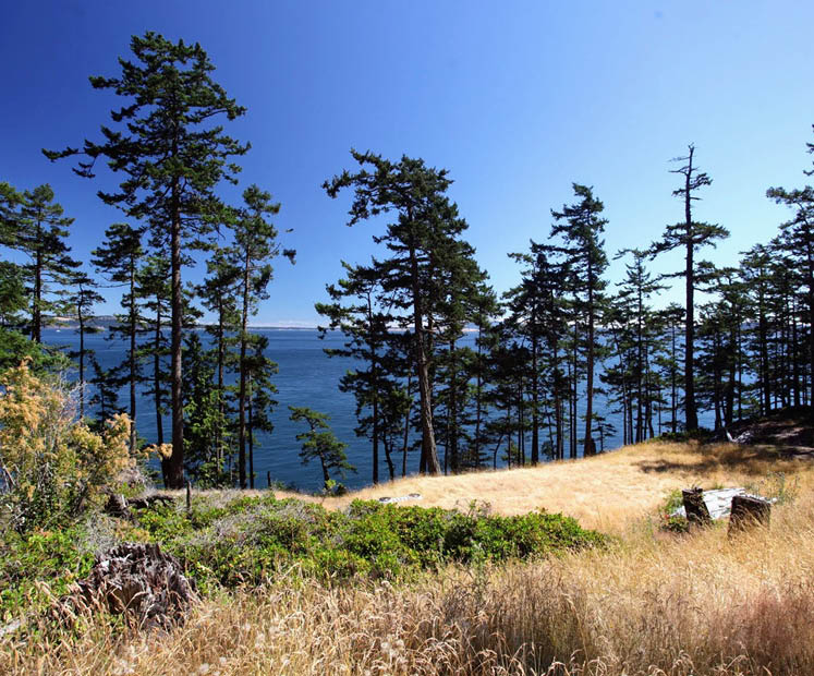 Sidney Island - Strata Lot 50 - Southern Gulf Islands